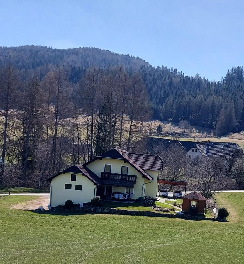 Greimblick Apartman Sankt Peter am Kammersberg Kültér fotó