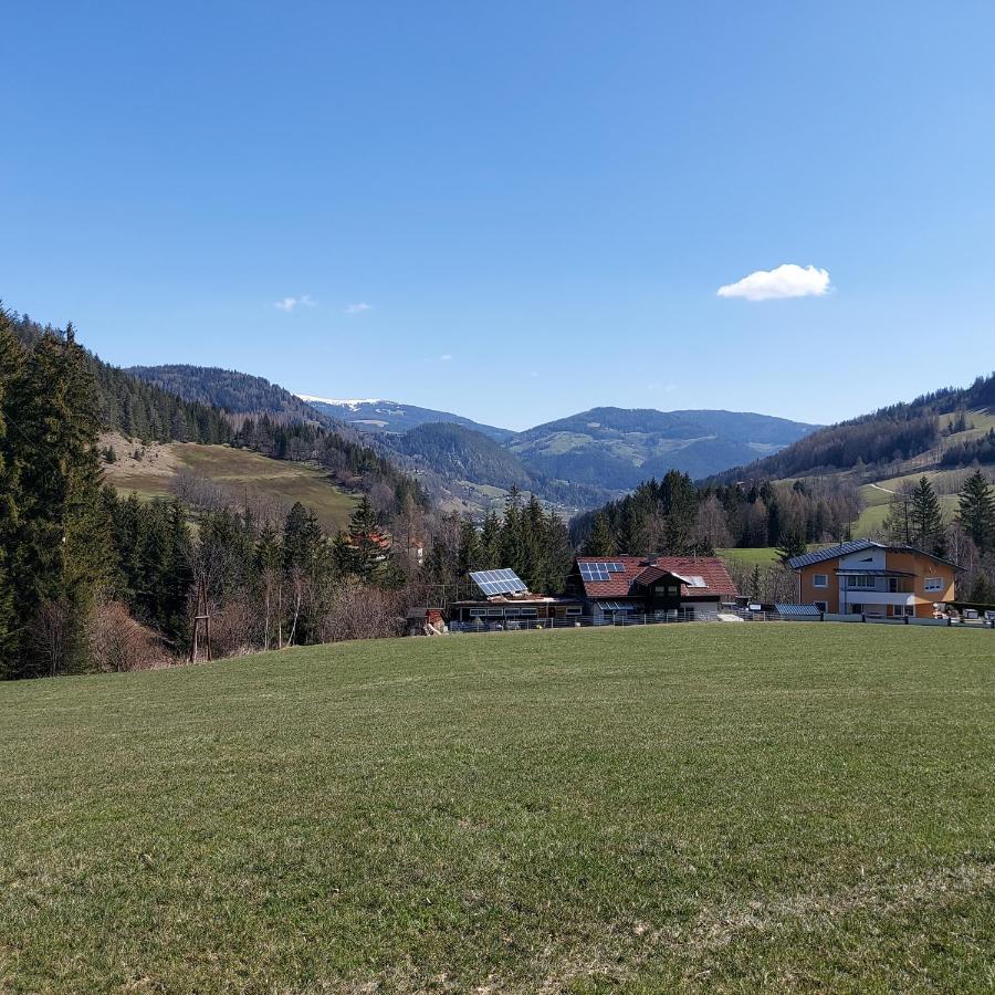 Greimblick Apartman Sankt Peter am Kammersberg Kültér fotó