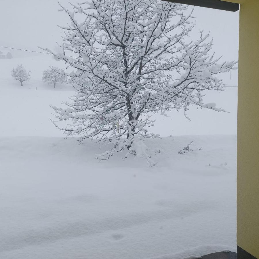 Greimblick Apartman Sankt Peter am Kammersberg Kültér fotó